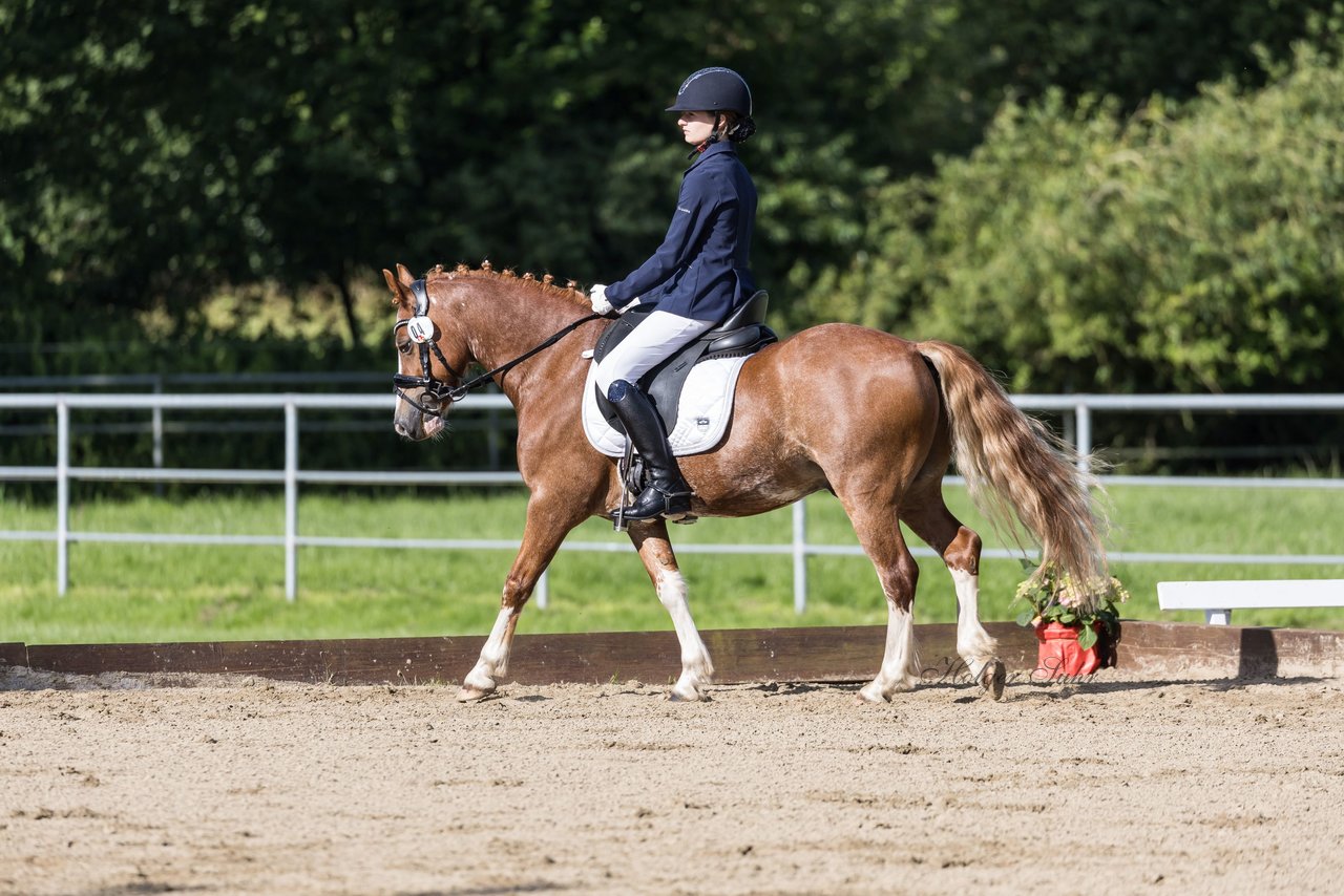 Bild 308 - Pony Akademie Turnier